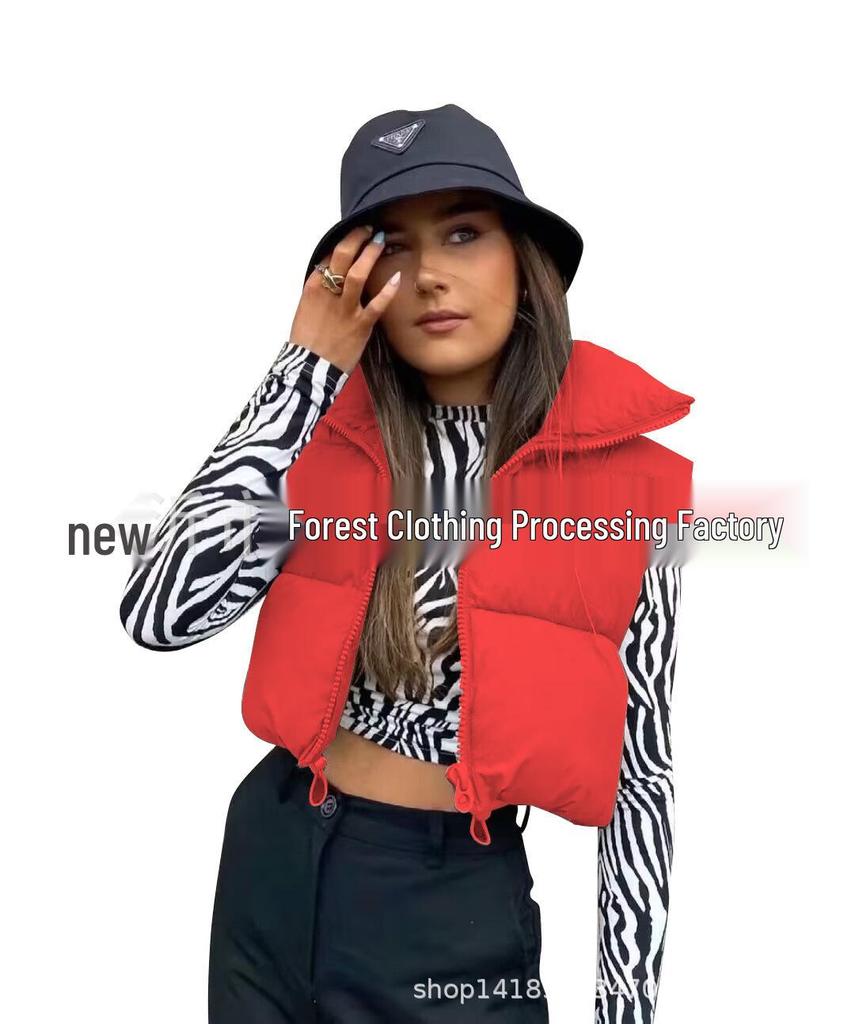 Women's Stand-Up Collar Zipper Vest: Warm Sleeveless Cotton Jacket for Autumn/Winter - Multi-Color Available