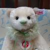 [USED] White Tag YUKI 26cm Steiff Teddy Bear with Certificate of Authenticity