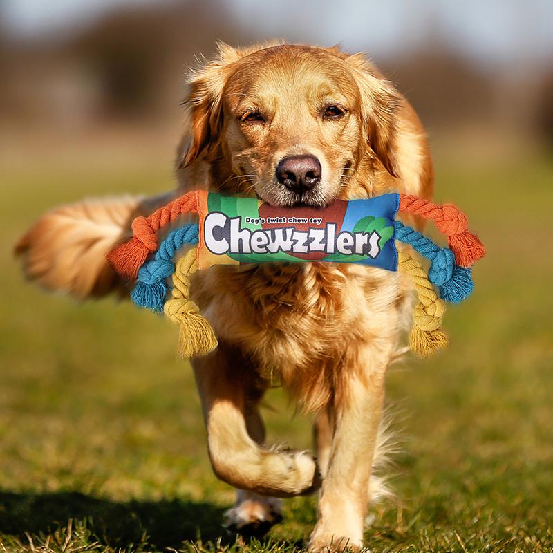 Hundespielzeug, Plüsch-Hundespielzeug, Quietsch-Hundespielzeug, Stofftiere für kleine, mittlere, große Hunde aller Rassen, Großes Gürteltier-Tier-Spielzeug