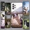 Border Collie Dog Phone Case For Samsung S25,S24,S21,S22,S23,S30,Ultra,S20,Plus,Fe,Lite,Note,10,9,5G Black Cover