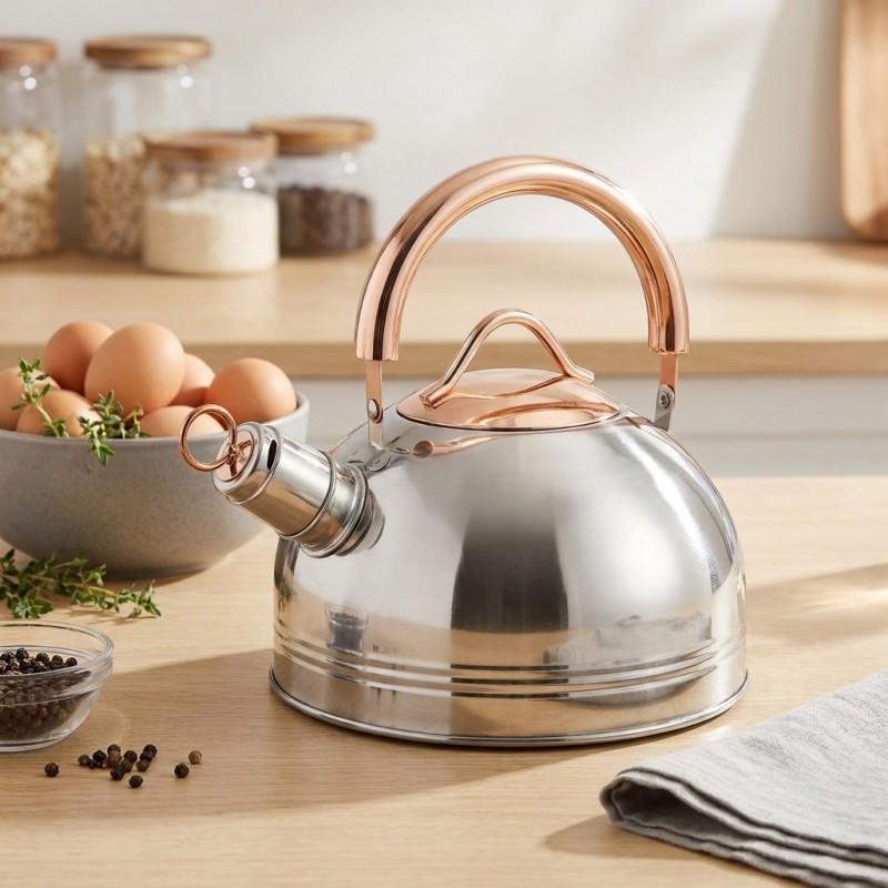 Stainless Steel Whistling Kettle 2.5L Gas Induction Cooktops Modern Home Use