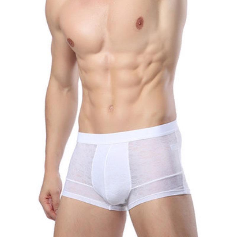 Men's Breathable Transparent Boxer Briefs Sexy Underwear Panties Briefs