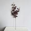 6pcs Simulation Plants Silk Eyebrows Leaves Bedroom Decoration Artificial Plant Green Eyebrow Leaf Branch Hotel Decorative