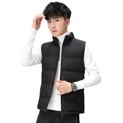 Autumn And Winter Korean Jacket Men's Stand Collar Down Cotton Jacket Leisure Waistcoat Thick Vest