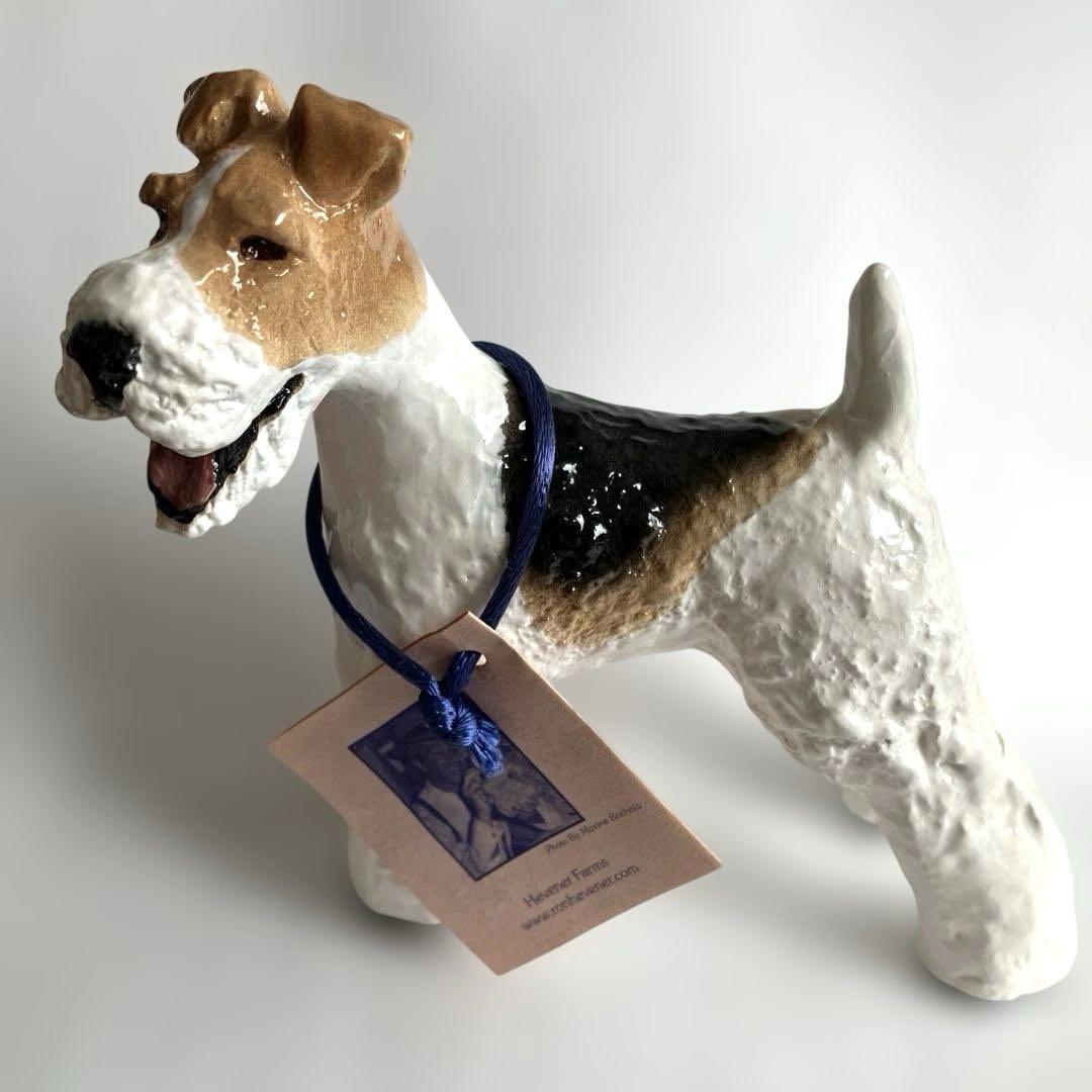 

[USED] Wire Fox Terrier
