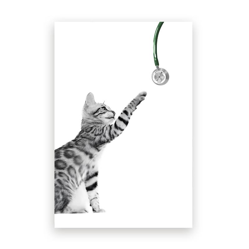 Pet Care Art Prints Black White Photography Posters Cat Dog Canvas Painting Animal Clinic Wall Pictures Veterinary Office Decor