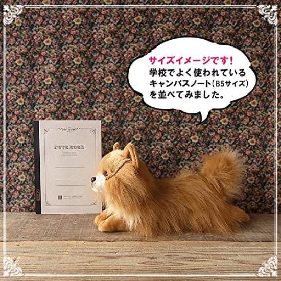 Plusz Ninian i Kino Realistyczny Leżący Około 40cm Pies Domowy, Szczeniak, Długi, (pomorski)