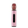 Professional Wireless Microphone Dual Speaker Bluetooth Microphone  Live Performance