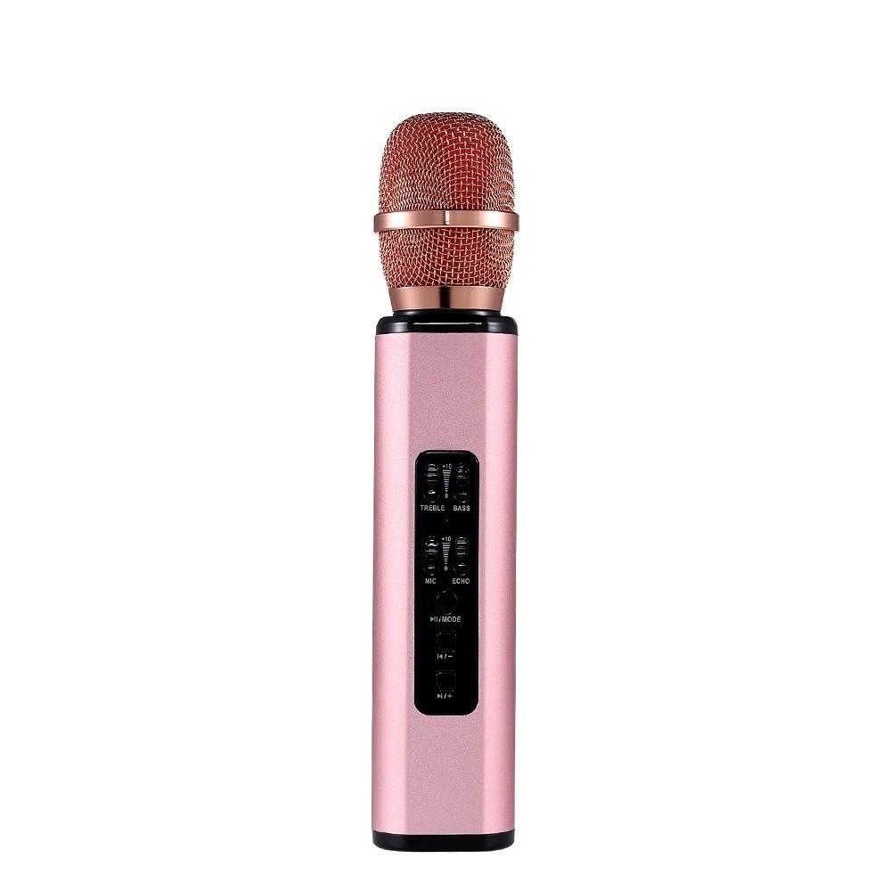 Professional Wireless Microphone Dual Speaker Bluetooth Microphone  Live Performance