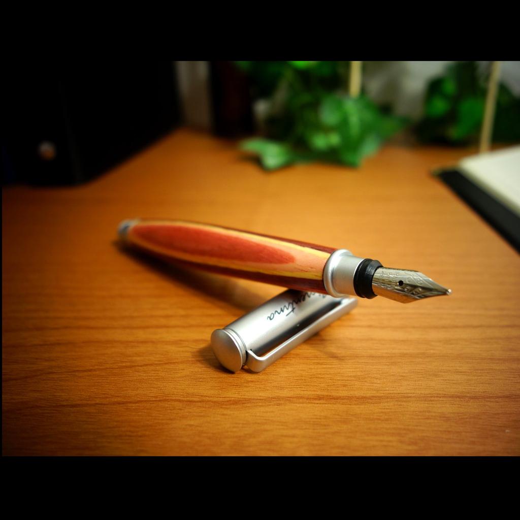 Exim Fountain Pen Fiorentina Oval F23-34