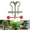 Bonsai Tools The Trees Branch Modulator Trunk Lopper Regulator