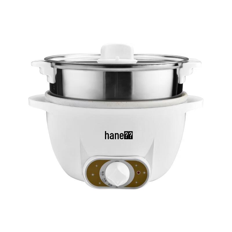Hanle Multi-function Mini Electric Cooking Pot
