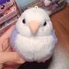 Lovely Bird High Fidelity Parrot Peony Parrot Plushie Budgerigar Budgie Plush Toys Lifelike Animals Simulation Stuffed Doll Toy