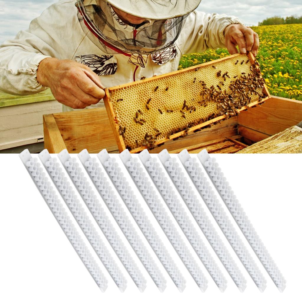 10 Stück Bienen Königinnenzellen-Blatt Bienenaufzucht Zuchtgerät Imkereizubehör