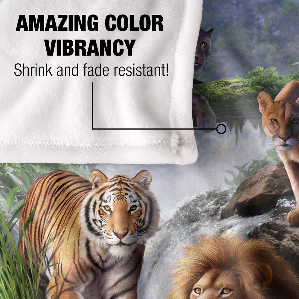 JQ Licensing Jlo Silky Cats Supersoft Blanket