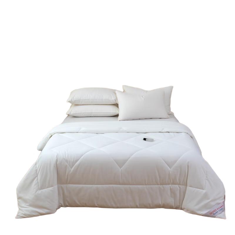 

Aiqiwu Washed Silk Blend Quilt