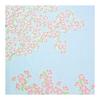 Sen no Anbo Tenugui "Sakura in Full Bloom Against a Clear Sky" 100% Cotton Tokka Made in Japan 35cm x 100cm
