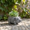Weerbestendige Plantenbak Varken Plantenbak, Vormige Bloempot, Potten voor Binnen Steen Bloempot Buitenplanten, Decoratieve Vetplanten Pot Huis Tuin