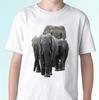 Elephants Kids Boys T-Shirt Tee Elephant Top Animal Gift S S Kids Baby Sizes