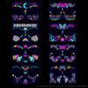 Music Festival Fluorescent Face Stickers, Waterproof Nightclub Masquerade Ball Neon Glow Tattoo Stickers