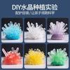 Children'S Educational Science Experiment Handmade Diy Crystal Seed Christmas Tree Growth Chemical Planting Crystal Toy