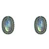 New Trendy Accessories, Oval Pendant Earrings, Exquisite Shell Earrings, and High-end Earrings
