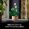 LEGO Botanical Peace Lily 11504, Multicolor