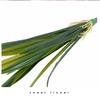 New Latex Phormium Leaves Artificial Home Garden Orchid Leaves Artificial Orchid Leaf