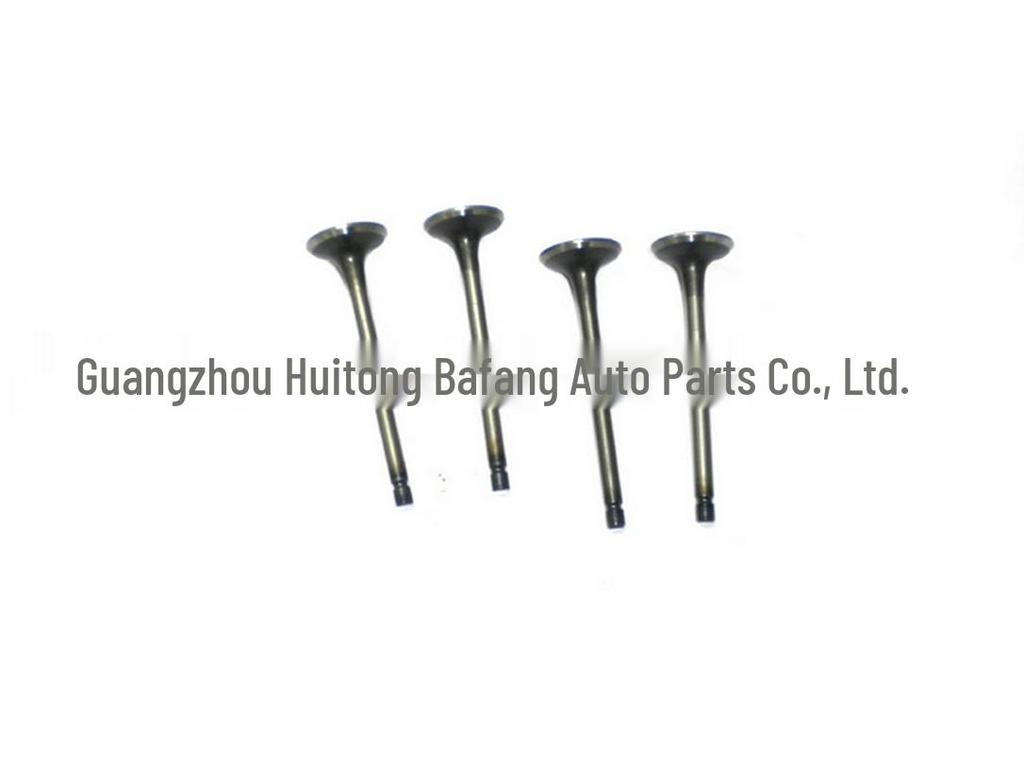 Jiangling Transit V348 & Qingling 600P NHR/NKR Exhaust Valve