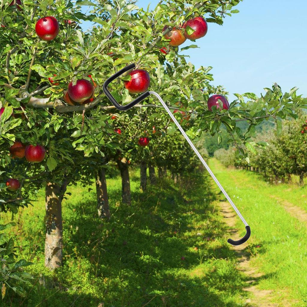 Durable Fruit Tree Training Clips With Plastic Coating Safe Branch Angle Adjustment For Orchards