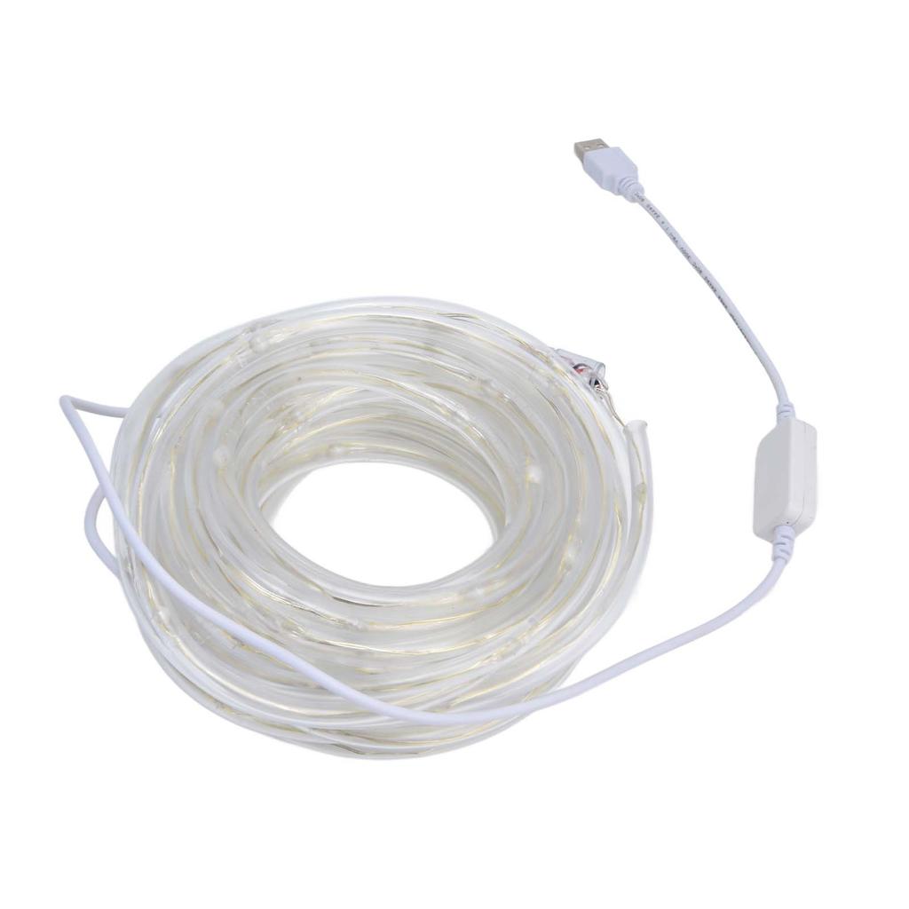 RGBW 100LED Rope Lights USB Powered Music Sync String Light APP Bluetooth Control IP45 Waterproof