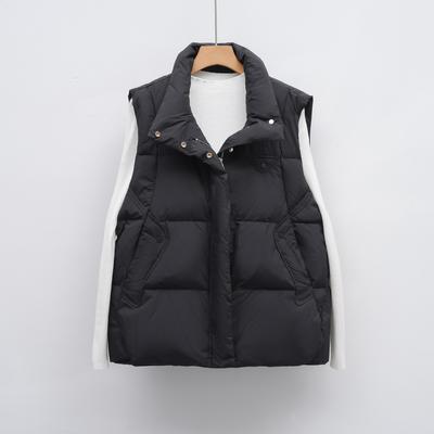 Down Jacket Down Autumn and Winter New Women's Down Vest Sleeveless Vest Korean Loose Coat