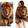 Lion King Art Print Beach Towel, Majestic Wildlife Nature Design Quick-Dry Sand-Free Microfiber Bath Towel for Summer Travel