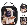 Mème Pibble Chien Drôle Brainrot Lavez Mon Ventre Mème Sac à Déjeuner Boîte à Déjeuner Sac Fourre-tout Isotherme Portable Sacs Alimentaires Pour Unisexe Sac Glacière