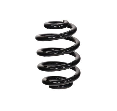 Ft11363 Fast Rear Suspension Spring