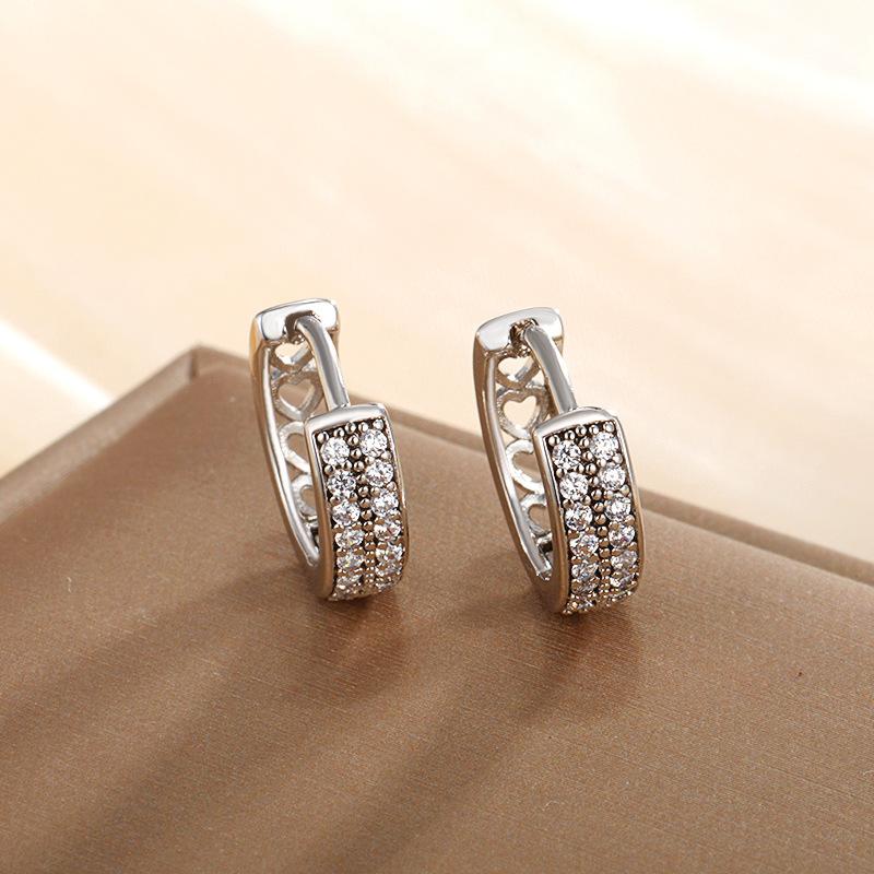 

Luxury Double Row Zircon Stainless Steel Earrings For Women Fashion Cubic Zirconia Hoop Earrings Jewelry Gifts