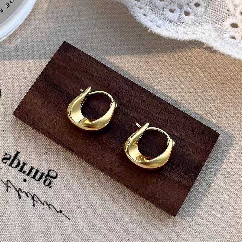 925 Sterling Silver Hoop Earrings: 2025 Modern Niche Design - Elegant & Luxurious for Women