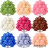 10" Thick Macaron Color Balloons for Party & Wedding Decor