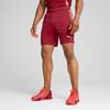 Puma Шорты Individual Training