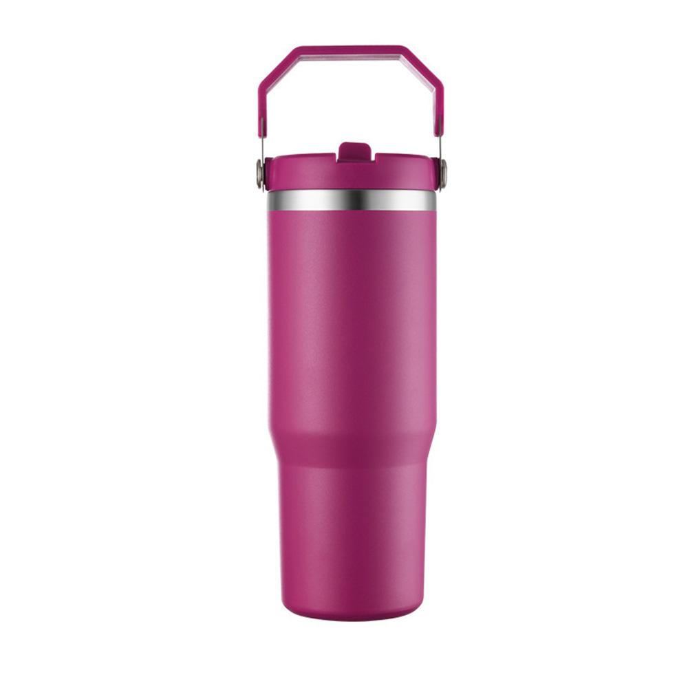 Leakproof Insulated Cup 30oz Large Capacity Water Bottle with Handle/Straw Colorful Tumbler Gift for Travel Car Office Workout
