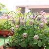 12 Pcs Halloween Skull Stake Human Skull with Bendable Wire Planter Insert