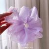 Organza Hair Tie for Women - Korean Style Rubber Band with Leather Case