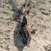 Simple Wishing Stone Pendant Necklace Clavicle Chain Adjustable Sweater Chain Vintage Collar Necklace Fashion Jewelry