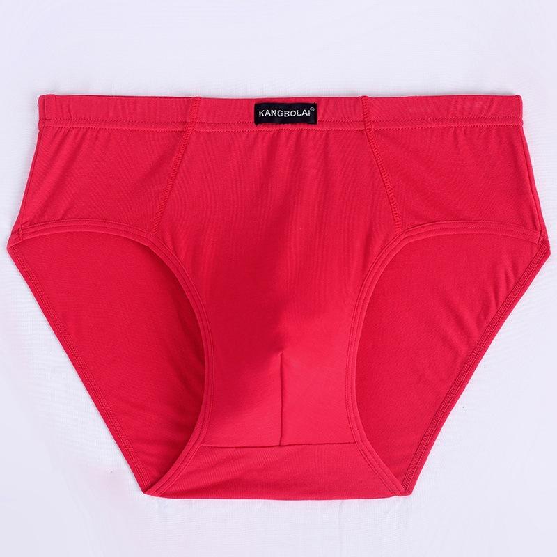 Plus Size Men Spring and Summer Sexy Loose Breathable Triangle Briefs