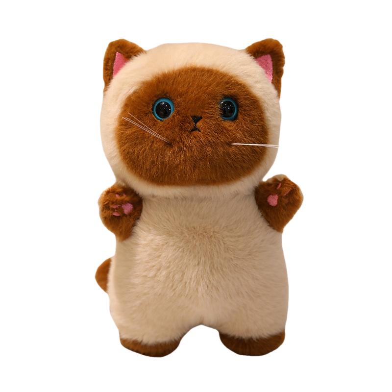 Jouets en Peluche Chat Adorables Remplis Japon Apporter Chat British Shorthair Gris Orange Ragdoll Pussy Chaton Poupée Table Accompagnement Jouets about15-20cm