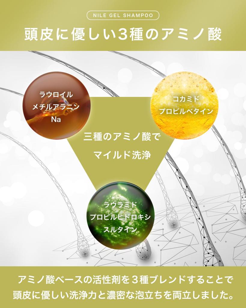 NILE Super Rich Foam Gel Shampoo for Amino Acid La France Shampoo, Rinse-in Men, (300ml, Scent)