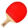 Double Fish 9-Star Penhold Table Tennis Racket