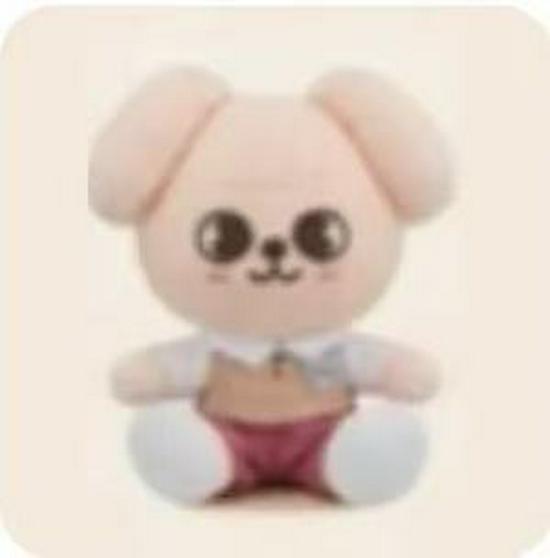 Stray Kids Skzoo x Zootopia Bang Chan & Lee Felix Outfits im neuen Stil