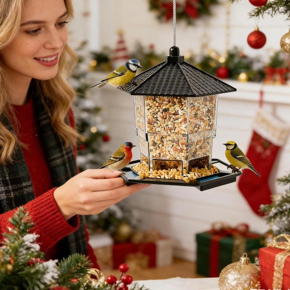 Transparent Hanging Bird Feeder Squirrel Proof Bird Food Container Bird Feeding Station  Backyard