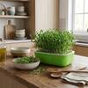 2Pcs Double Layer Germination Tray Plastic Cultivation Pot Soil-Free Nursery Pots Grid Design High Ventilation